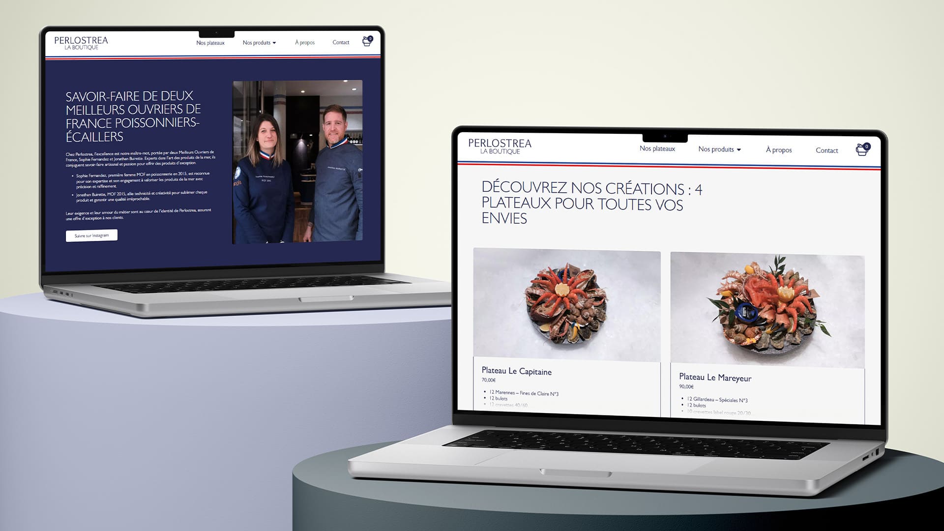 Réalisation d'un site e-commerce WordPress, création site marchand