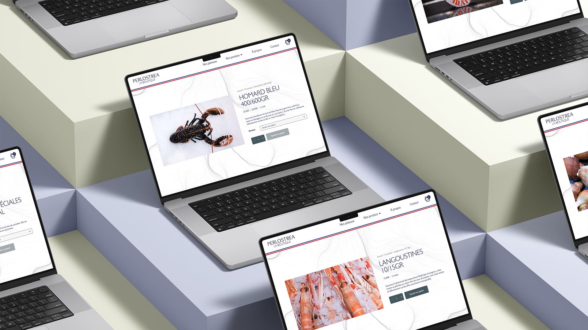 Création d'un site e-commerce WooCommerce Toulouse