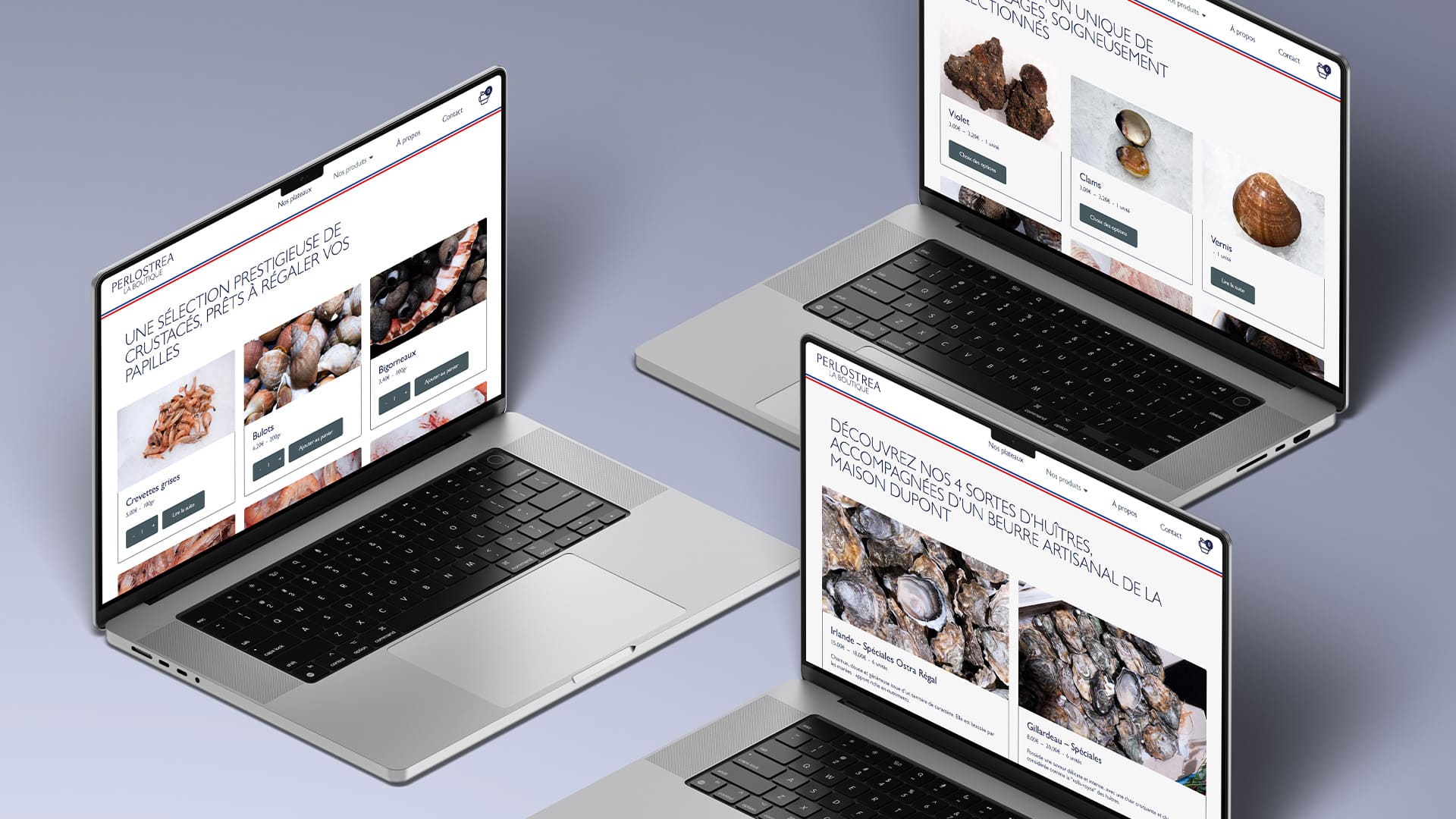 Création d'une boutique en ligne UX/UI WordPress, webdesigner à Toulouse