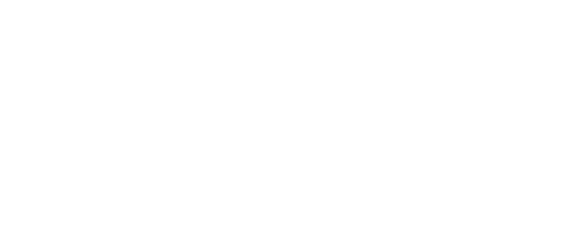 Logo-client-Nocchio